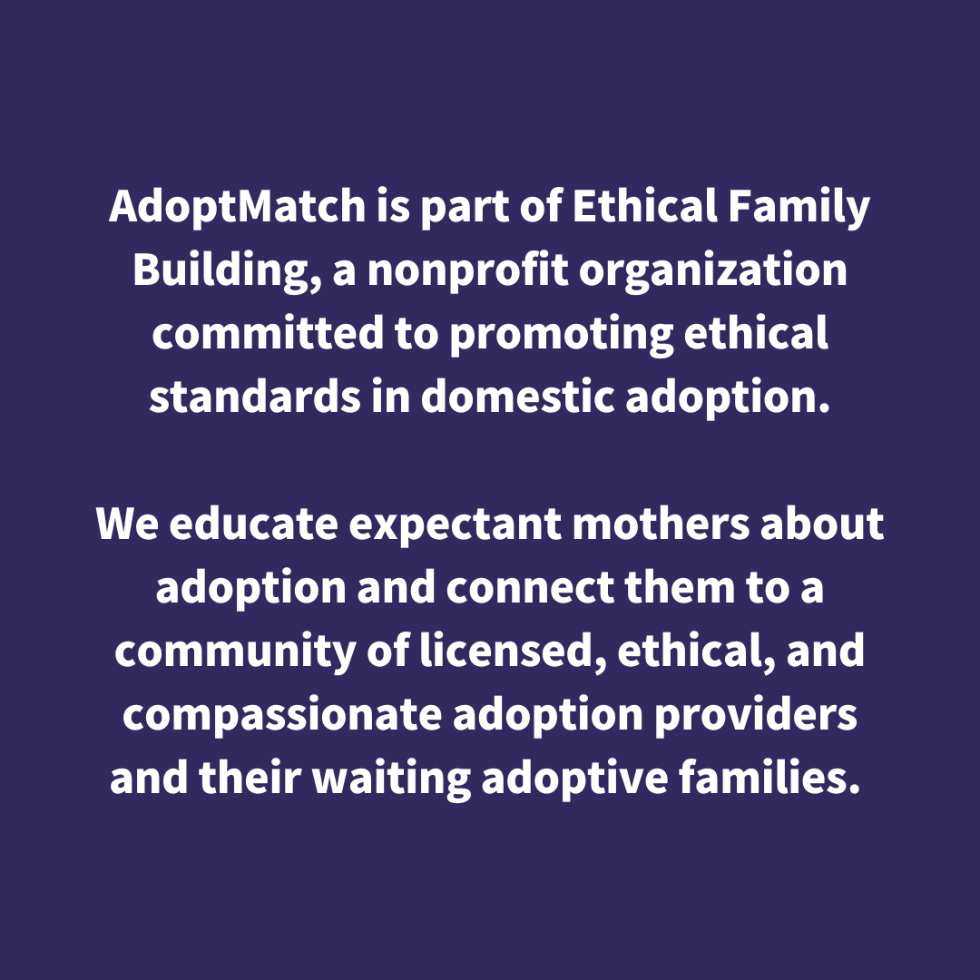 We are committed to promoting ethical standards in domestic adoption.-2