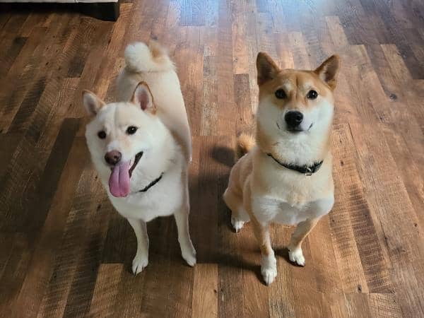 Kevin + Kristen 2
